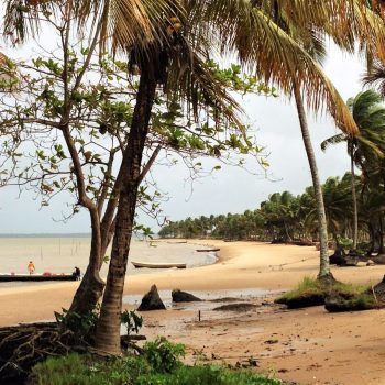 Galibi Nature Reserve - Suriname 